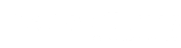 The New Times