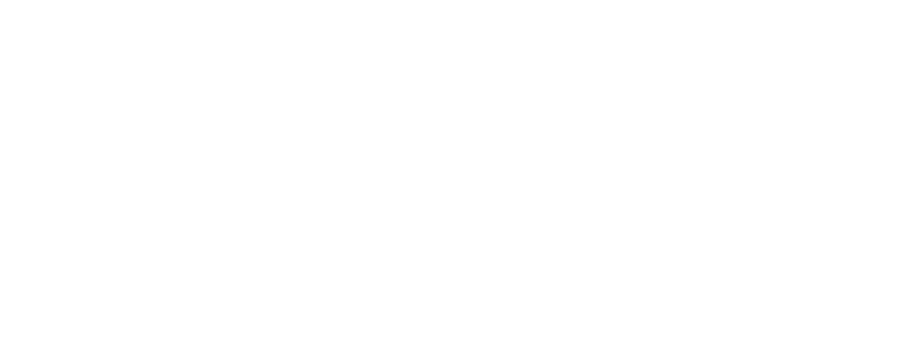 Company 10